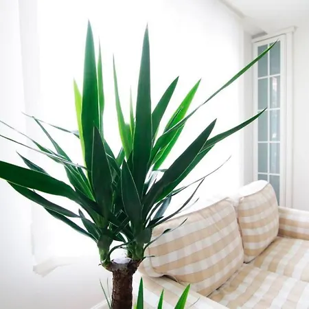 Appartement Apartamento El Centro De